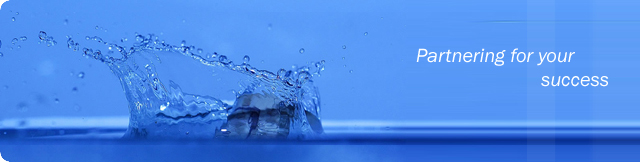main banner